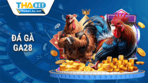 Trang chủ 47 Đá gà GA28