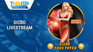 Trang chủ 36 Sicbo Livestream