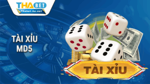 Trang chủ 43 Tài xỉu MD5