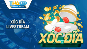 Trang chủ 42 Xóc đĩa Livestream