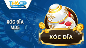 Trang chủ 41 Xóc đĩa MD5